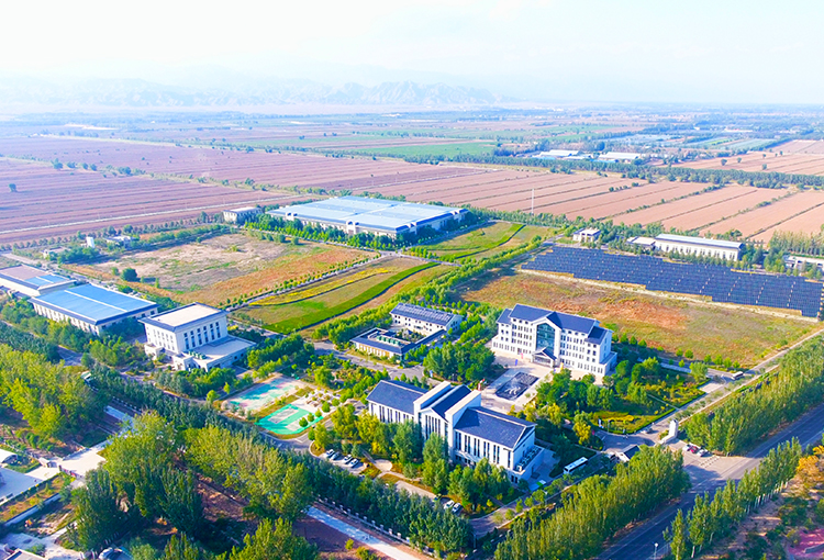  制水od在线【中国】有限公司